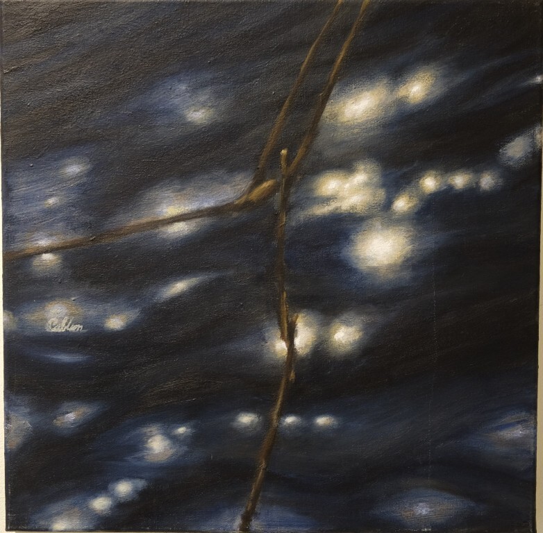 Corina Blom | Lichtjes op het Water