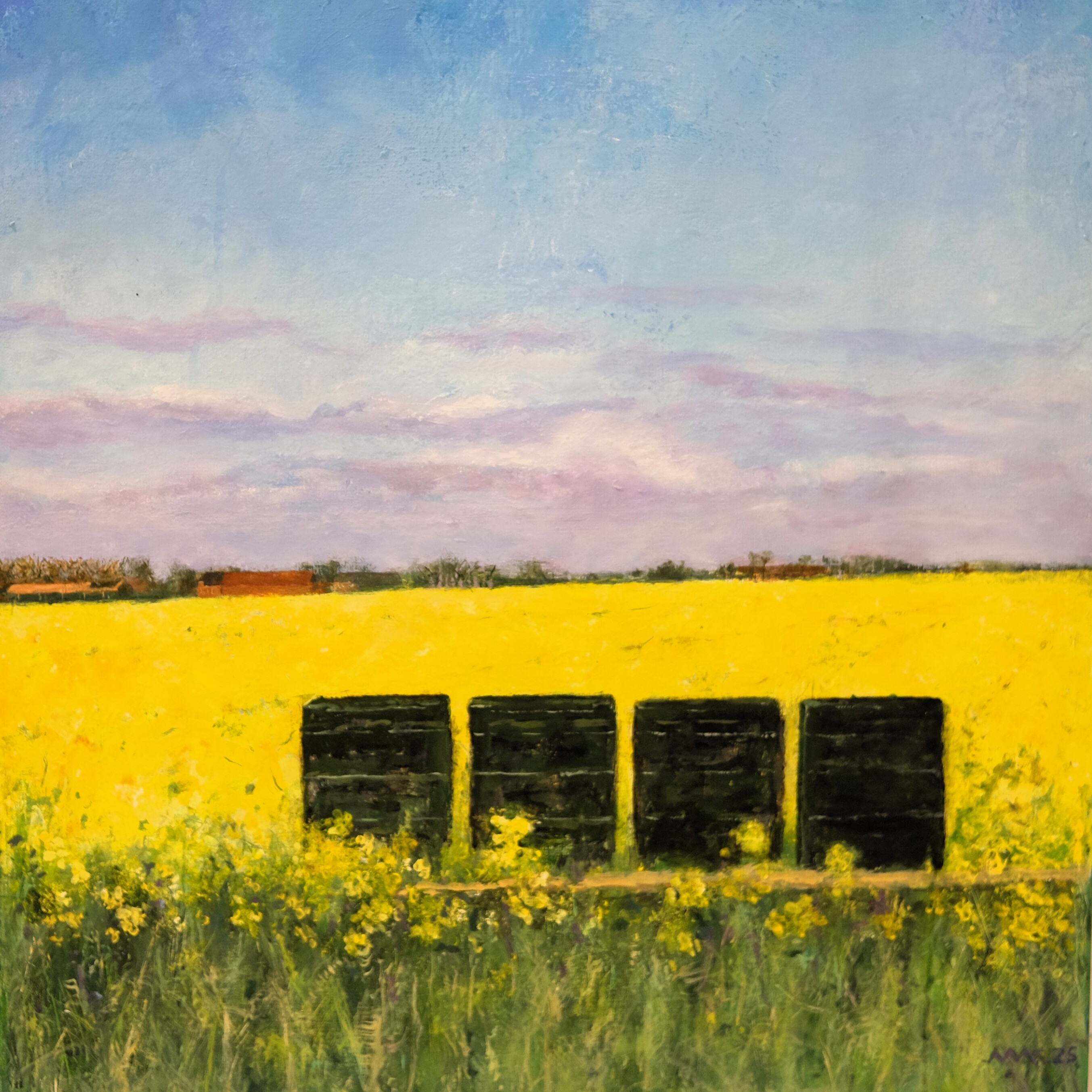 Mieke van Kan | Koolzaad